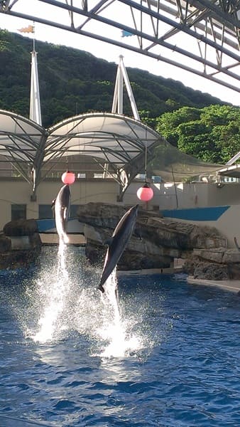 Hualien Farglory Ocean Park